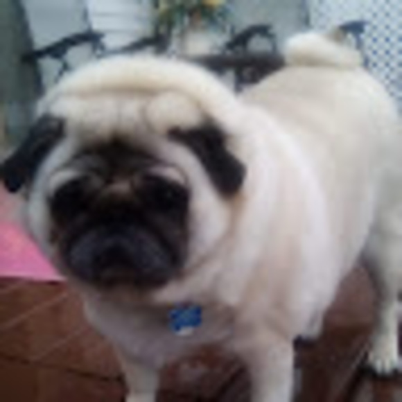 Meet your Posher, Cori-anne - Picture 1 of 1